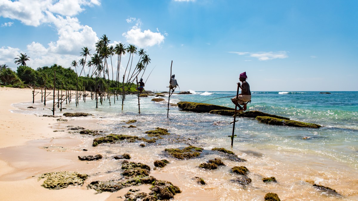 Die besten Reisetipps für Sri Lanka 2024
