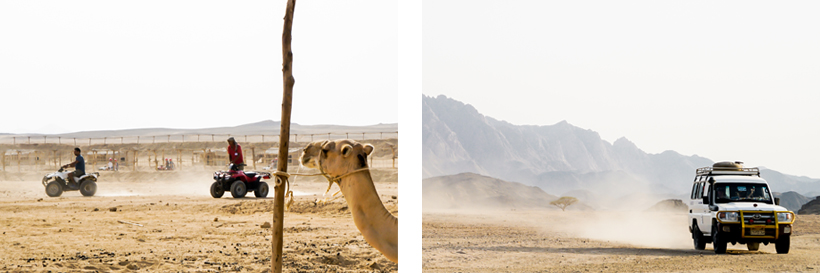 Quad & Jeep fahren durch die Weiten der arabischen Wüste